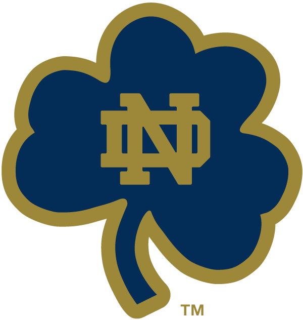 Notre Dame Fighting Irish 1994-Pres Alternate Logo v18 iron on transfers for T-shirts